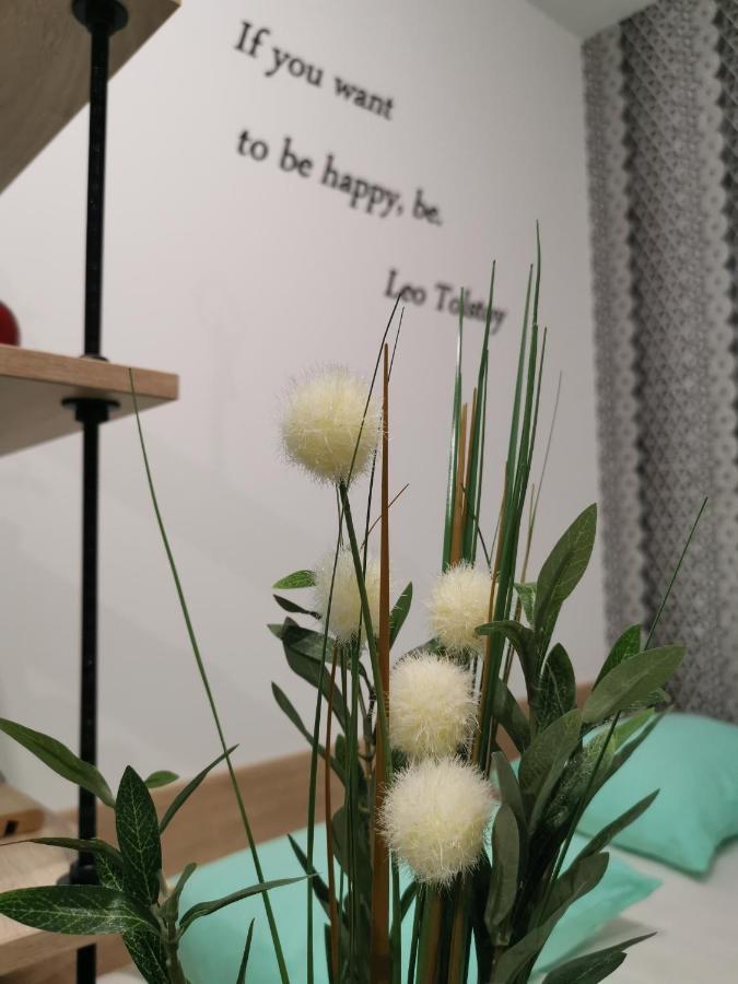 נובי סאד Mateja Apartment מראה חיצוני תמונה